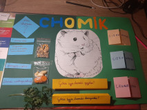 Lapbook w klasie 3b