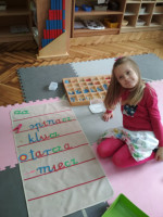 plany2