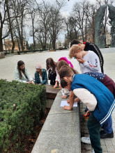 Obliczanie pól prostokątów i kwadratów