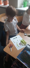 Zajęcia CLIL