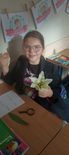 Zajęcia CLIL